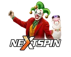 NEXTSPIN